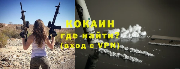 прущие грибы Яранск