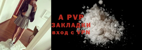 мдпв Дмитриев